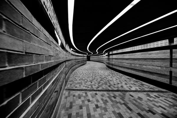 Photograph Roland Shainidze The Symphony Of Lines on One Eyeland